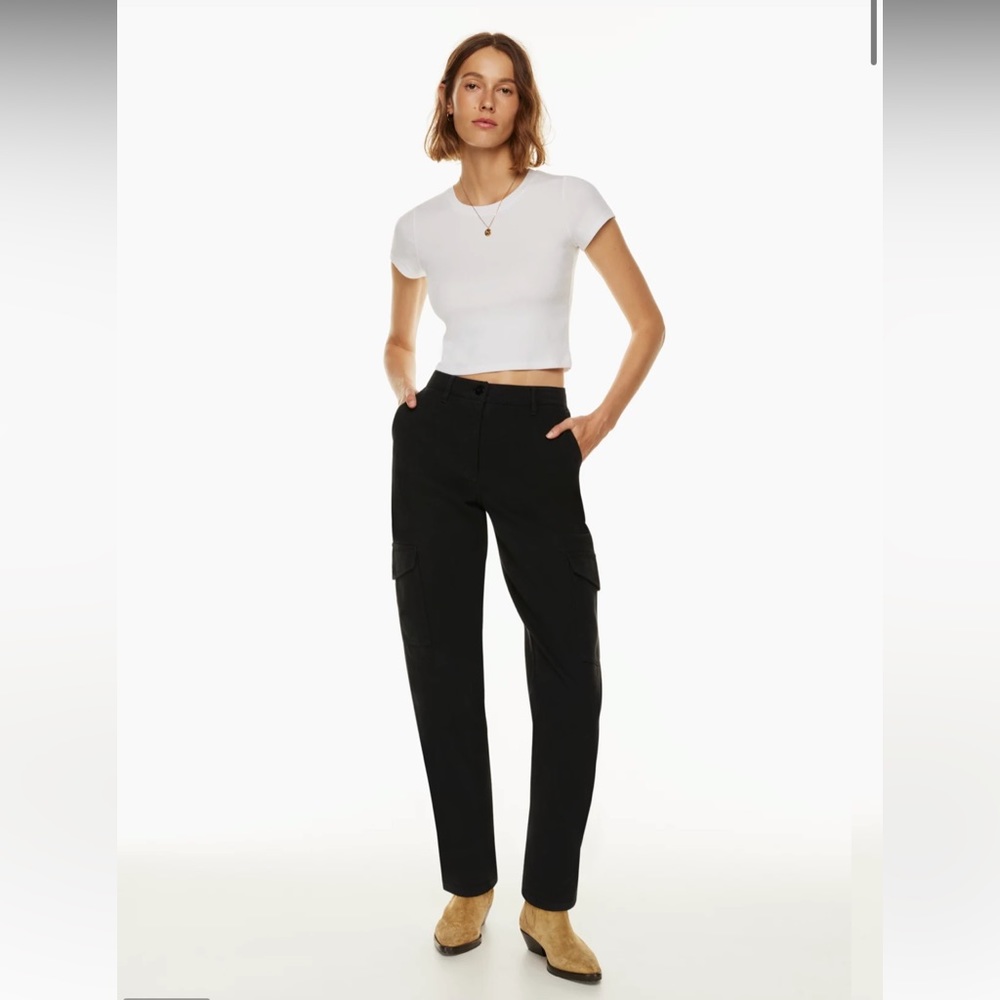 Aritzia Modern Cargo Pants